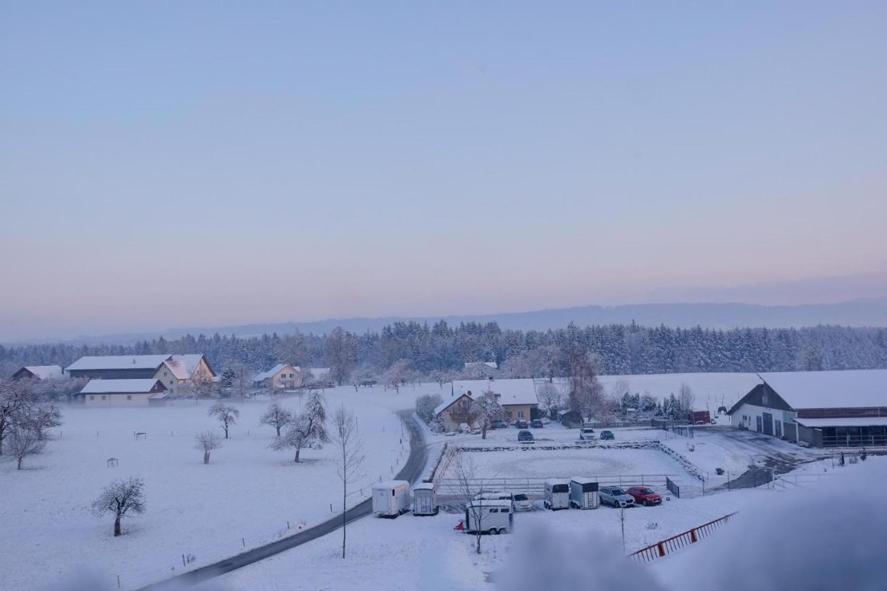 Trautesheim Ferienwohnungen Wangen im Allgäu Exteriör bild