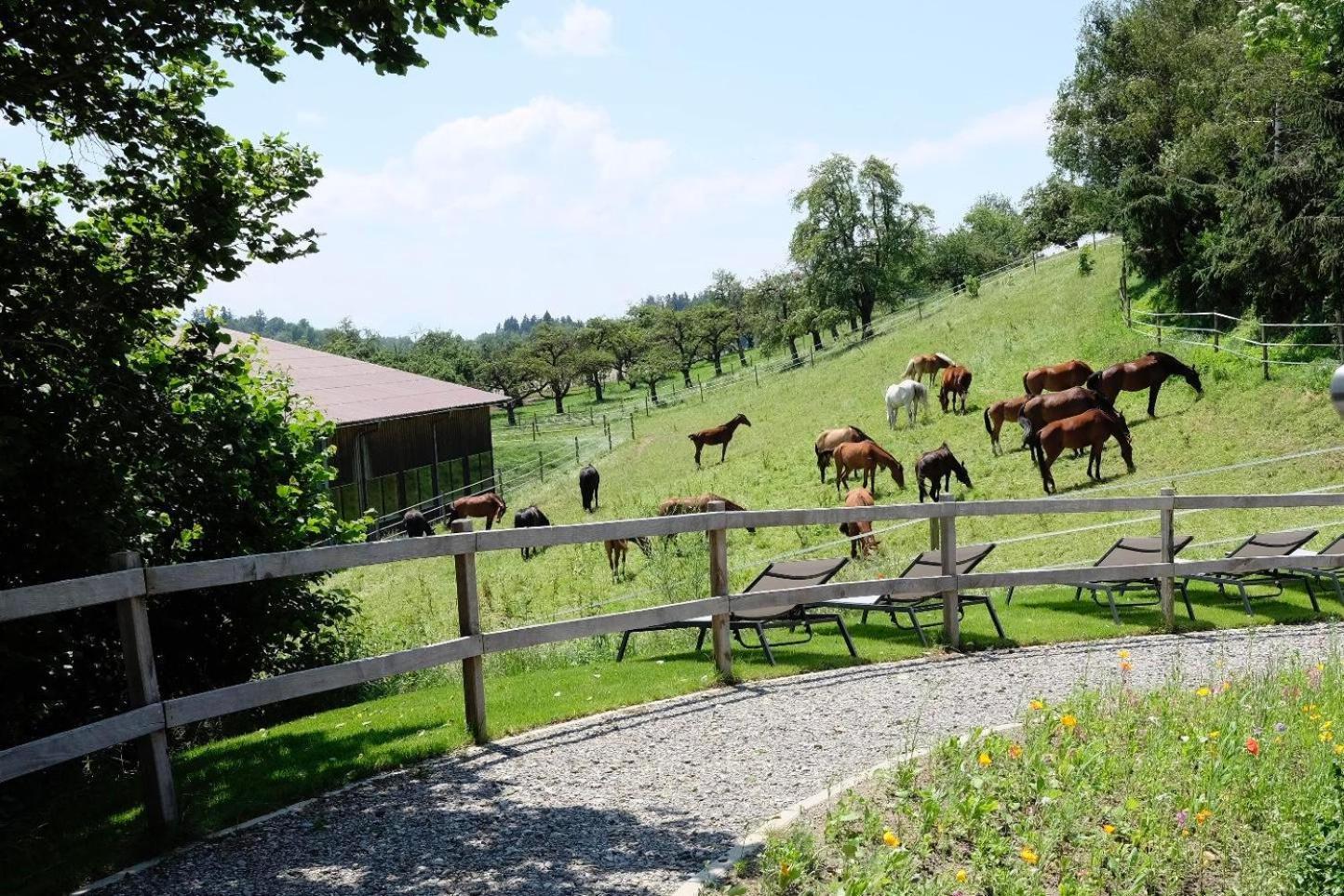 Trautesheim Ferienwohnungen Wangen im Allgäu Exteriör bild