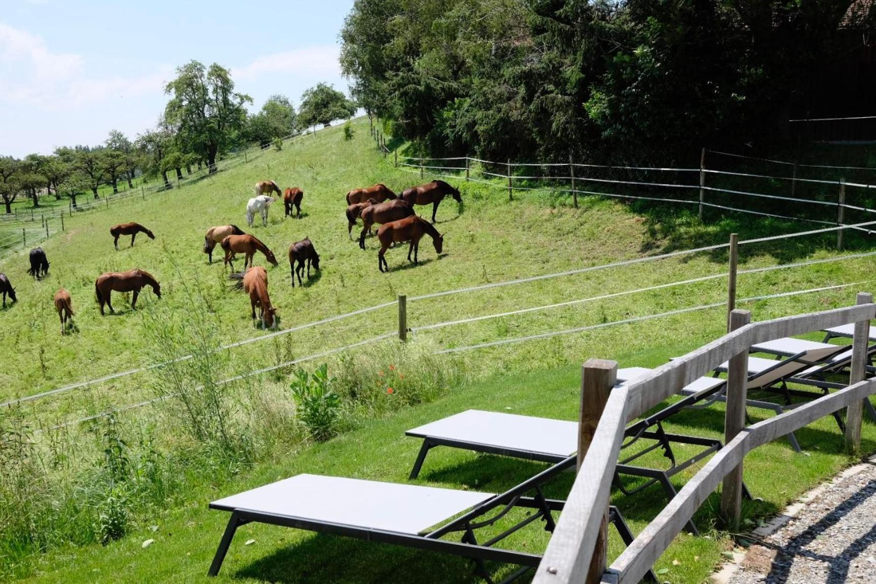 Trautesheim Ferienwohnungen Wangen im Allgäu Exteriör bild