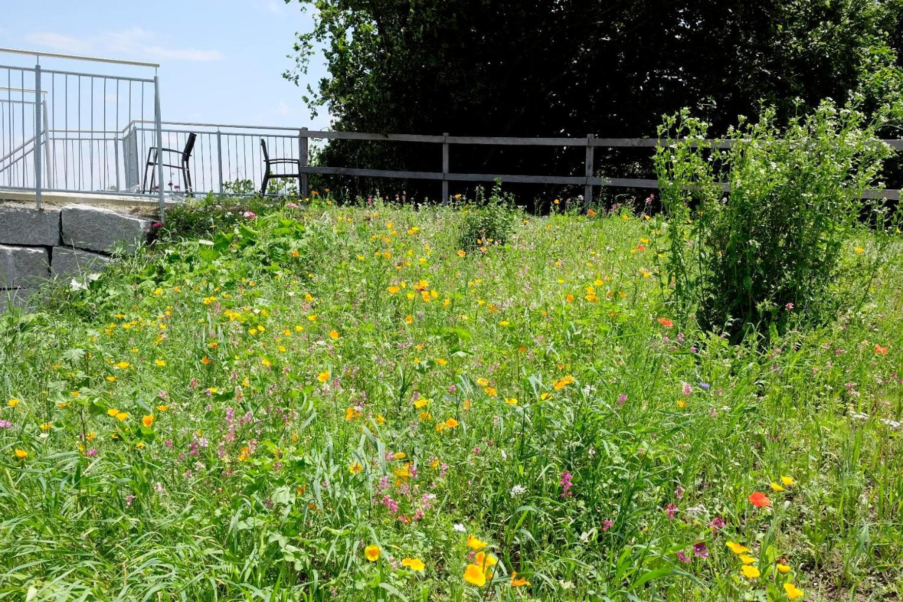 Trautesheim Ferienwohnungen Wangen im Allgäu Exteriör bild