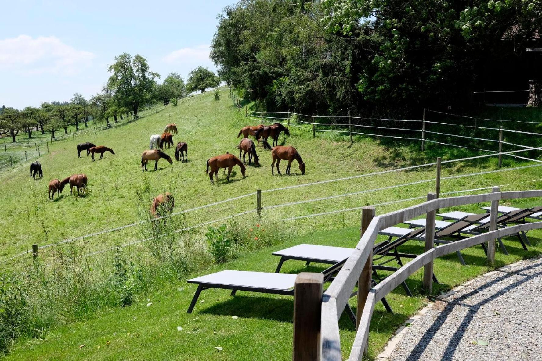 Trautesheim Ferienwohnungen Wangen im Allgäu Exteriör bild